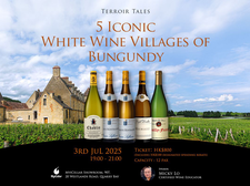 Terroir Tales EP6: 5 Iconic White Wine Villages of Burgundy| MyiCellar Event