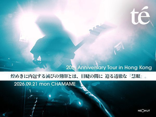 Carouschka's Tickets 世界各国チケットコレクション Ticketflapで te' 20th Anniversary Tour Live in Hong Kong の